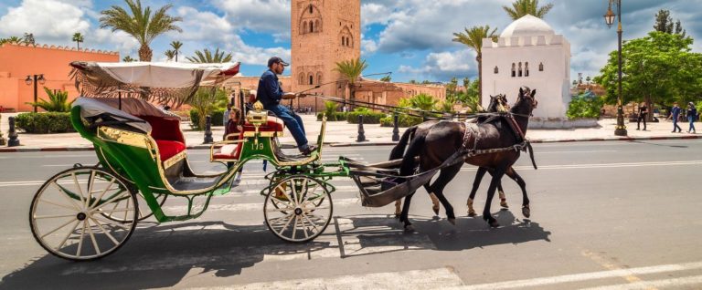 Morocco Vip Tour- Paseo en carruaje de caballos por Marrakech